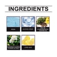 thumbnail image 4 of Room Spray Air Freshener - Gardenia Long-Lasting Fragrance Odor Eliminator 100ml, Multi-functional Indoor Air Freshener, Home Kitchen Cleaning Supplies For Workplace, 4 of 7