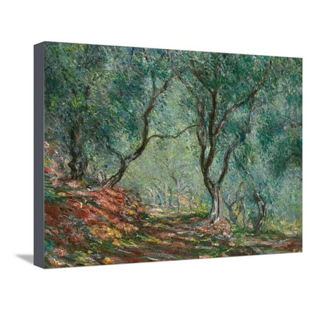 Olive Trees in the Moreno Garden, 1884 Impressionist Botanical Landscape Painting Stretched Canvas Print Wall Art By Claude