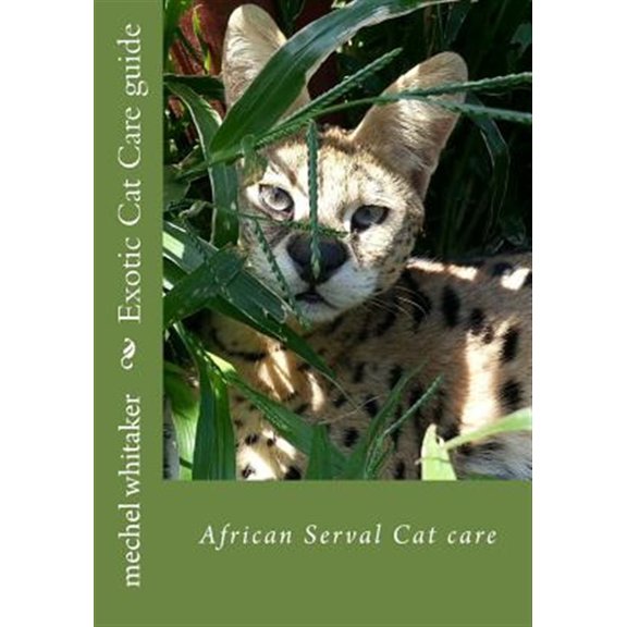 Pre-Owned Exotic Cat Care Guide : African Serval Cat Care