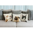 thumbnail image 7 of WIRESTER 18x18 inch Square Decorative Throw Sofa Pillow Cases, Dazed Pug Puppy Dog, 7 of 7