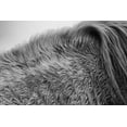 thumbnail image 2 of Aledanda 32x23 White Modern Wood Framed Museum Art Print Titled - Horse Hair, 2 of 4
