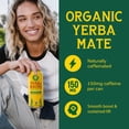 thumbnail image 3 of Yerba Madre Organic Yerba Mate Enlighten Mint, 15.5 fl oz Can, 3 of 7