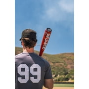 Easton Quantum (2 5/8 Barrel) BBCOR Baseball Bat | 32 | -3