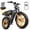 Yellow, variant on TST Electric Bike for Adults, 750W Motor, 48V/15Ah, 20"x4" Fat Tire E-Mountain Bike, Tested to UL2849 Standard by SGS