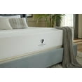 thumbnail image 2 of PlushBeds The Eco Bliss Hybrid Latex 8" Medium Mattress Handcrafted in The USA, 2 of 7