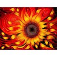 thumbnail image 1 of Cuadros Decorativos 5D Kit Rhinestone Imágenes DIY Flor abstracta Taladro redondo completo Pintura de diamante DQrwqpou Nuevos Originales, 1 of 8
