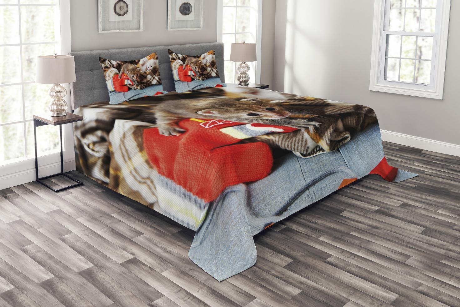 Cats Bedspread Set King Size, Kittens and Mittens Newborns Baby Animals