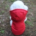 thumbnail image 7 of Autumn Winter Dog Coat Warm Padded Vest for Small Dogs Teddy Pet Clothing Cozy Windproof Outerwear, 7 of 7