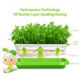 thumbnail image 2 of Vegetable Sprouts On Paper Seedling Tray Bean Sprouts Planting Tray With Cover Balcony Soilless Vegetable Cultivation, 2 of 7
