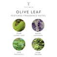 thumbnail image 3 of Pluma en aerosol Thymes Olive Leaf, 10 ml, 3 of 8