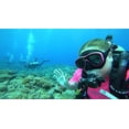 thumbnail image 3 of Tusa Freedom Ceos Mask Scuba Diving FreeDiving Snorkeling, 3 of 4