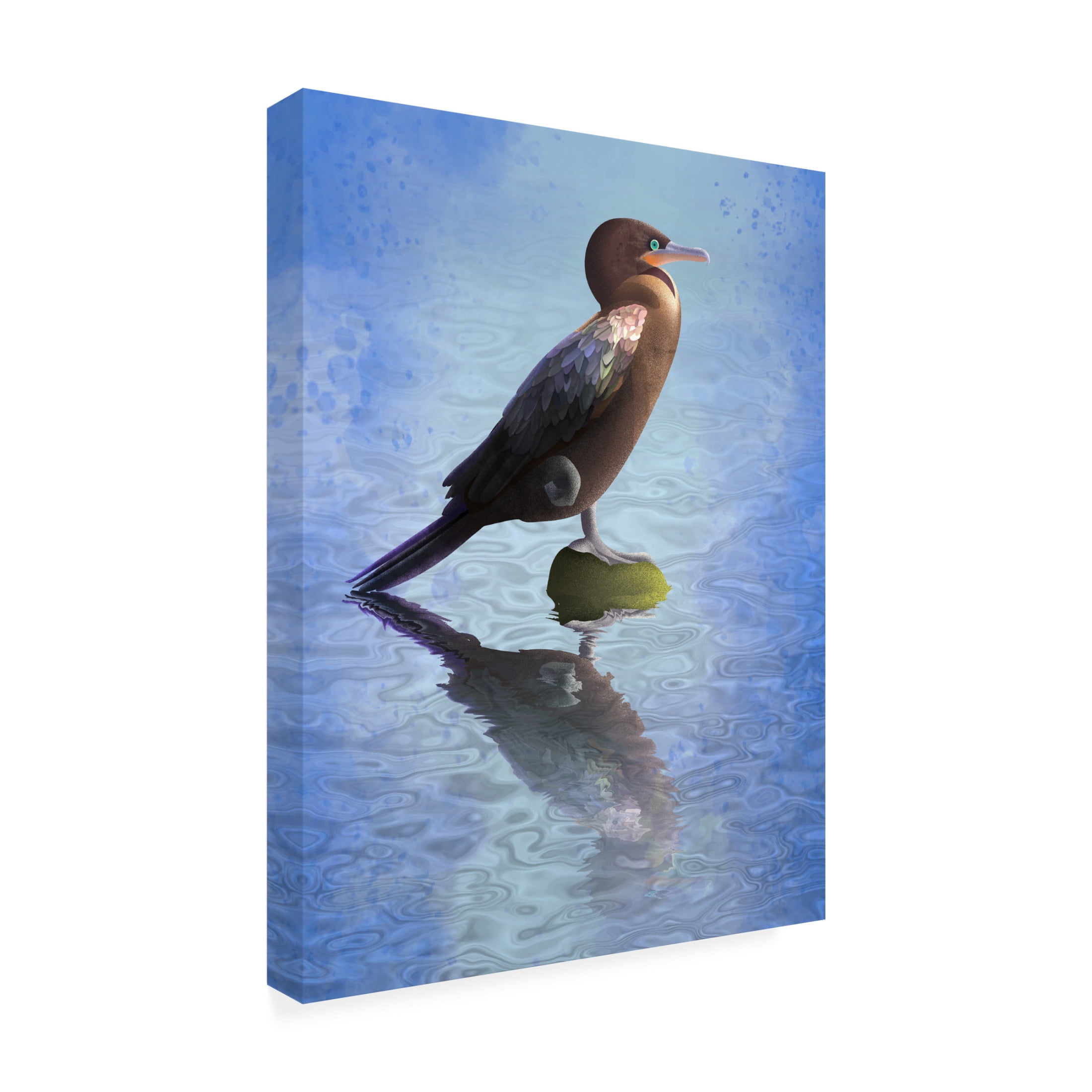Trademark Fine Art Franco Caballero River Bigua Canvas Wall Art