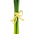 thumbnail image 3 of Vickerman 14'' Artificial White Calla Lily. Eight stems per pack., 3 of 8