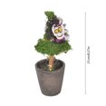 thumbnail image 3 of WOHSAO Halloween Witch Hat Topiary Plant With Pot Halloween Potted Decor Spooky Tabletop Ornament, Cute Witch Themed Mini Moss Trees For Halloween Home Party Decor, Holiday Gift For Family, 3 of 6