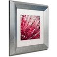 thumbnail image 2 of Trademark Fine Art "Red Melody" Canvas Art by Beata Czyzowska Young, White Matte, Silver Frame, 2 of 4