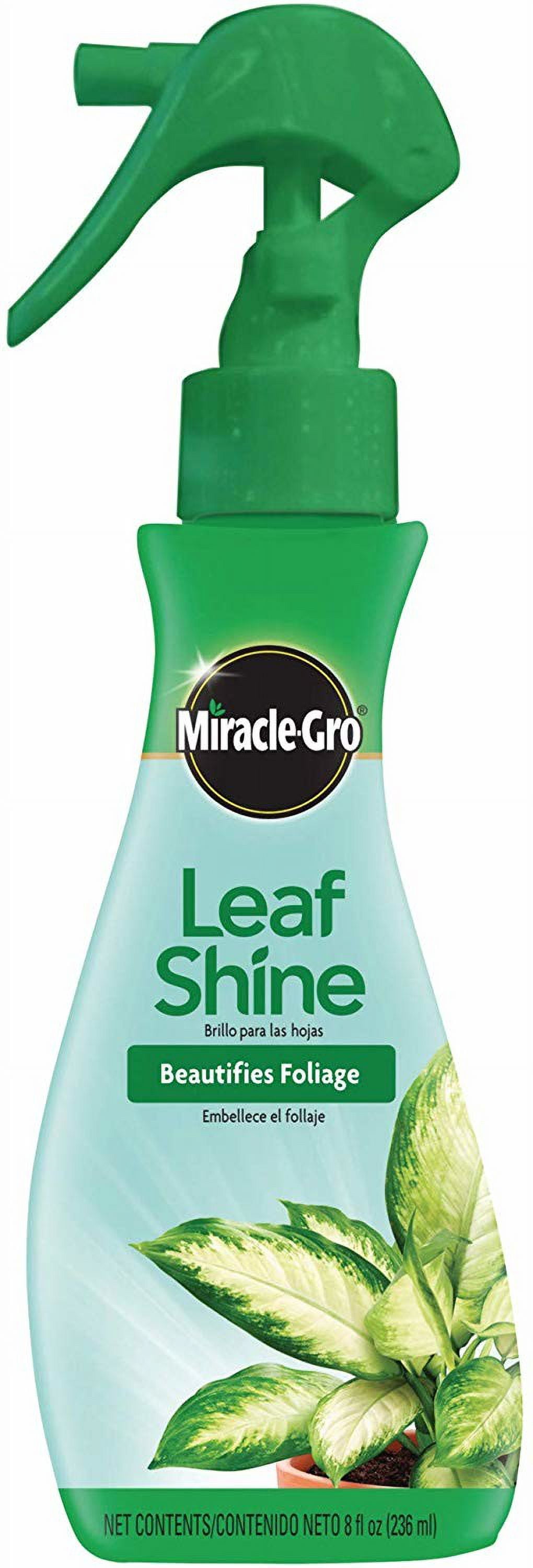 Miracle Gro Leaf Shine 8 Oz