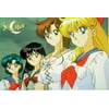 "Sailor Moon - Manga / Anime TV Show Movie Poster / Print (4 Girls) (Size: 40"" x 27"")"
