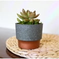 thumbnail image 4 of The HC Companies Maceta suculenta Sprite de 3.0 in – Pequeña maceta de plástico con drenaje para plantas de interior, hormigón sintético con fondo de color cobre, 4 of 5