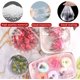 thumbnail image 5 of Bolsas de almacenamiento frescas de 200 piezas Zhivalor cubiertas de almacenamiento elásticas para verduras o frutas, 5 of 5
