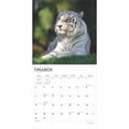 thumbnail image 3 of White Tigers 2025 12 X 24 Inch Monthly Square Wall Calendar Plastic-Free (Wall), 3 of 9