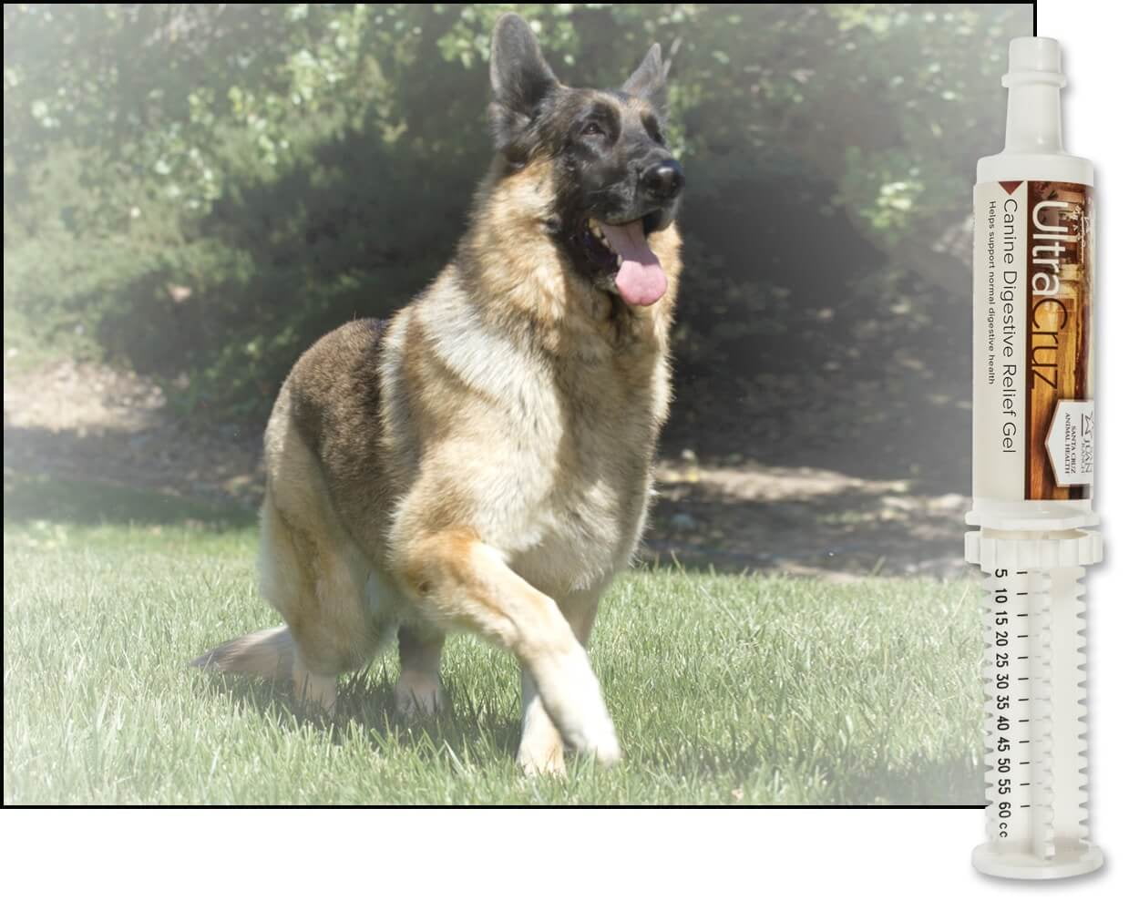 UltraCruz® Canine Digestive Relief Gel, 60 ml