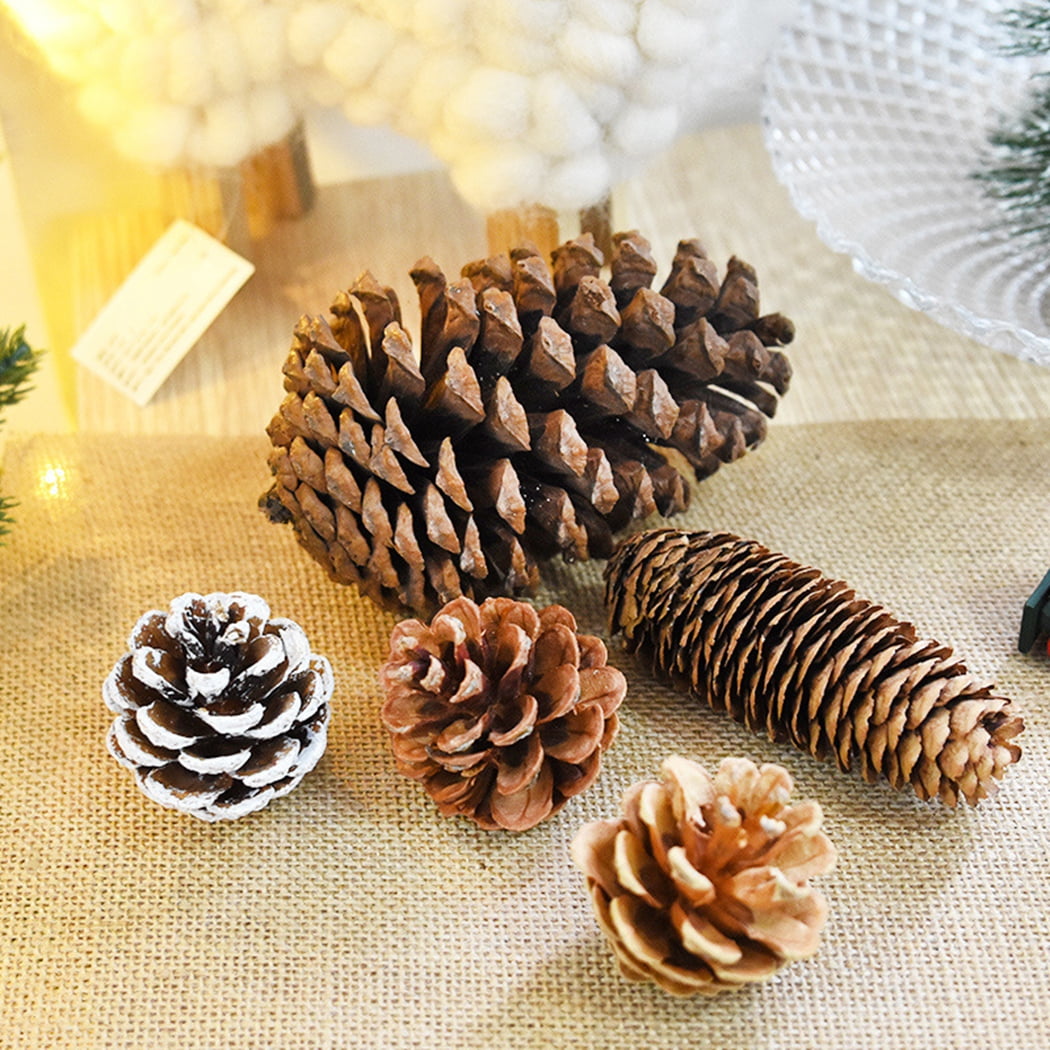 Pine 2024 cone ornaments