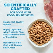 Wellness Simple Limited Ingredient Diet Adult Dry Dog Food, Wholesome Grain Kibble, Sensitive Stomach, Skin & Coat Support, Natural, Chicken Free, Lamb and Oatmeal Recipe, 26 lb Bag