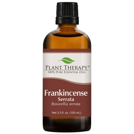 Plant Therapy Frankincense Serrata Essential Oil | 100% Pure, Undiluted, Natural, Therapeutic Grade | 100 (Best Way To Take Frankincense Oil)