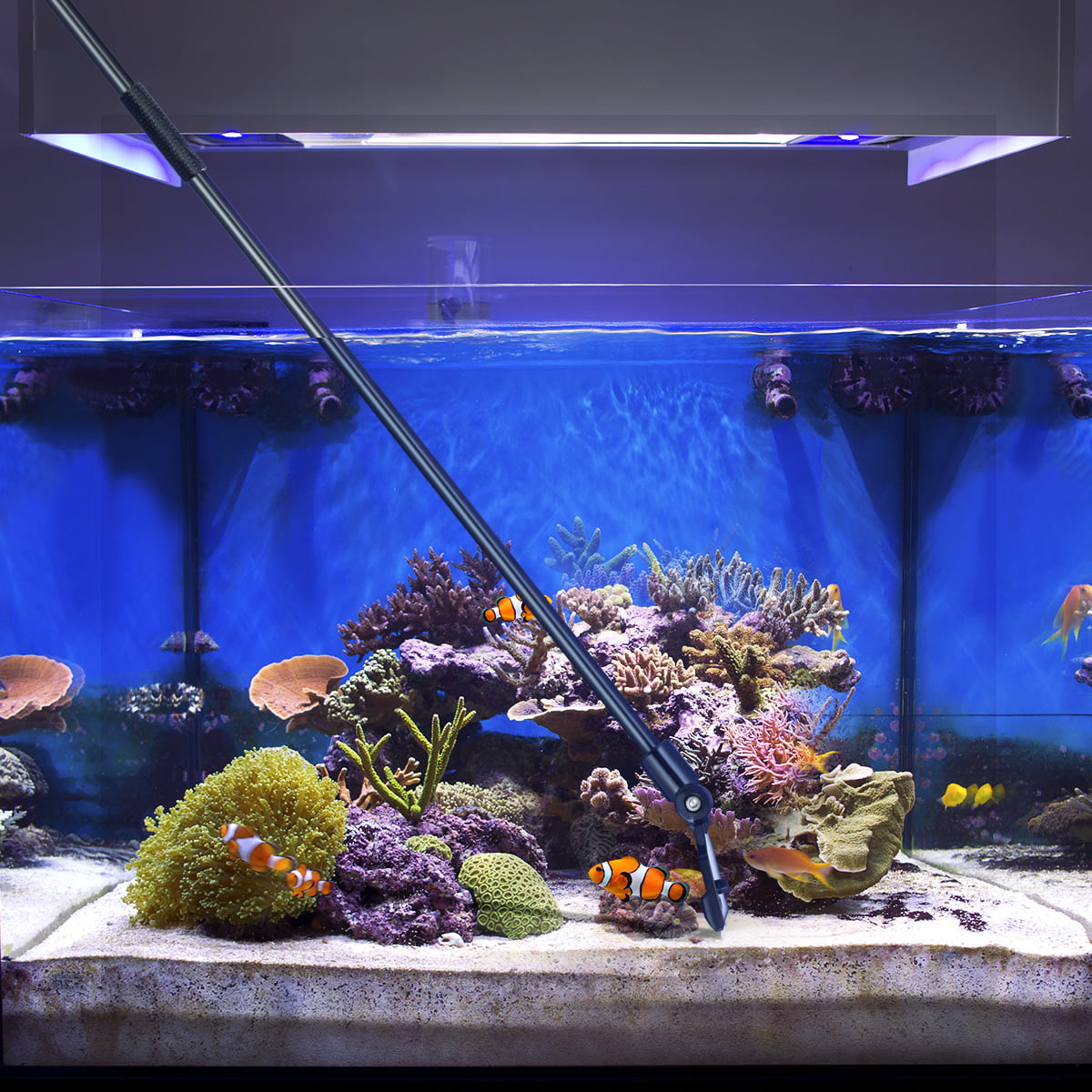 POPETPOP Aquarium Algae Scraper Fish Tank Aquarium Stainless Steel Algae Cleaning Tool 46cm with 5 Blades 
