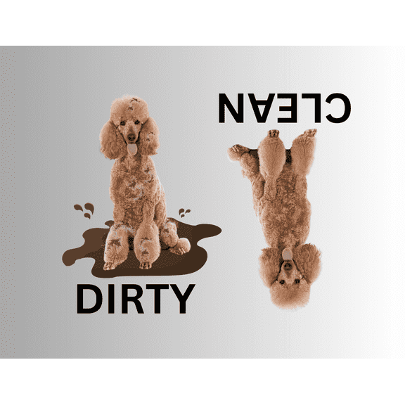 STANDARD POODLE Clean Dirty Dishwasher Flexible Magnet