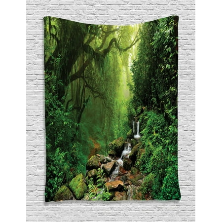 Rainforest Decorations Wall Hanging Tapestry, Forest In Nepal Footpath Wildlife Spring Plant And Stones Moisture Water Print, Bedroom Living Room Dorm Accessories, By