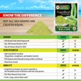 thumbnail image 5 of Longevity Dehydrated Sea Grapes, 4.23 oz of 6 packs, Umibudo Green Caviar, Lato Seaweed, Precious Gift From The Sea | Enhance Health, Boosting Immune System., 5 of 5