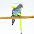 thumbnail image 4 of Cute Winged Harness and Leash for Small Birds Flying Training Outdoor Adjustable Winged Harness and Leash for Parrots Pigeons, 4 of 4