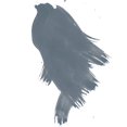 thumbnail image 1 of Daler-Rowney FW Acrylic Artists Ink, 1 oz, Paynes Gray (160029065), 1 of 4