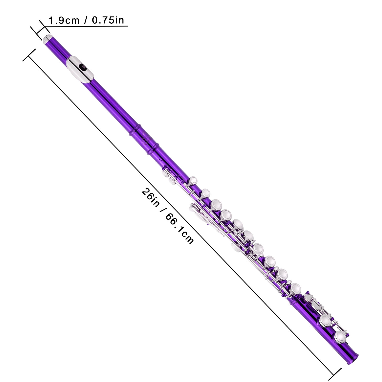 EASTROCK Closed Hole Nickel Plated Flute Soprano Recorder in C 16 with Professional Care Set for School Ensembles and Beginners Purple