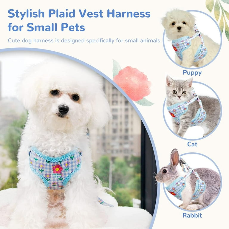 Cute Small Dog Harness and Leash Set with Bag No Pull Puppy Cat