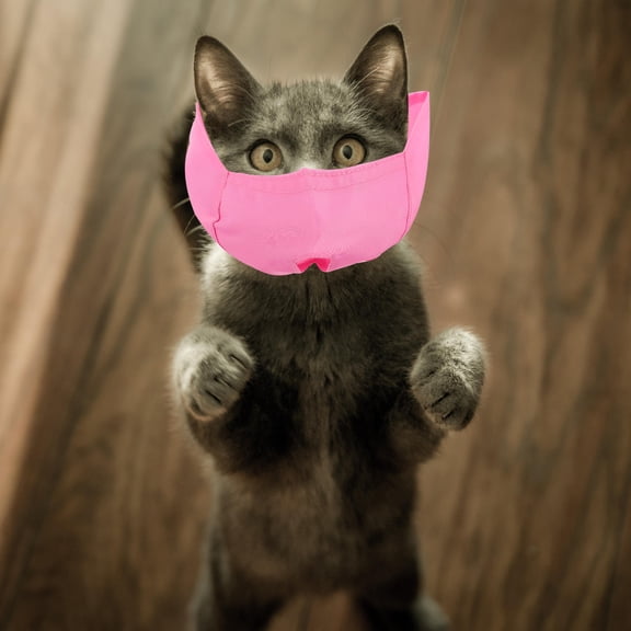 LOLIPPYY Breathable Nylon Kitten Muzzle Mouth Cover for Cats, Prevent Licking and Biting, Comfortable Pet Safety Piece