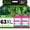 2-Pack Tri-color, variant on 63XL Ink Cartridge Replacement for HP Ink 63 HP63 HP63XL Compatible for HP Officejet 4650 5258 5200 3830 5255 4655 4652 5252 Deskjet 3630 3634 1112 Envy 4510 4520 Printer 2-Pack Color