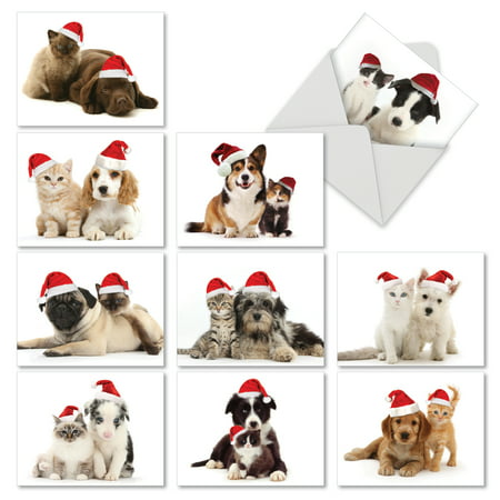 M6596XSG CHRISTMAS COPY CATS' 10 Assorted Merry Christmas Greeting Cards with Envelopes by The Best Card