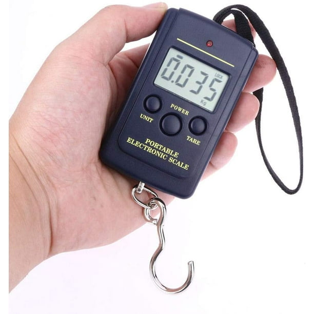 Portable Fish Scales Digital Weight, Electric Fish Scale with Backlit LCD  Display, Fishing Scale for Hook Tool Fishing Luggage