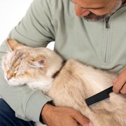 Tweezerman Pet Pet Precision Single Row Flea Comb
