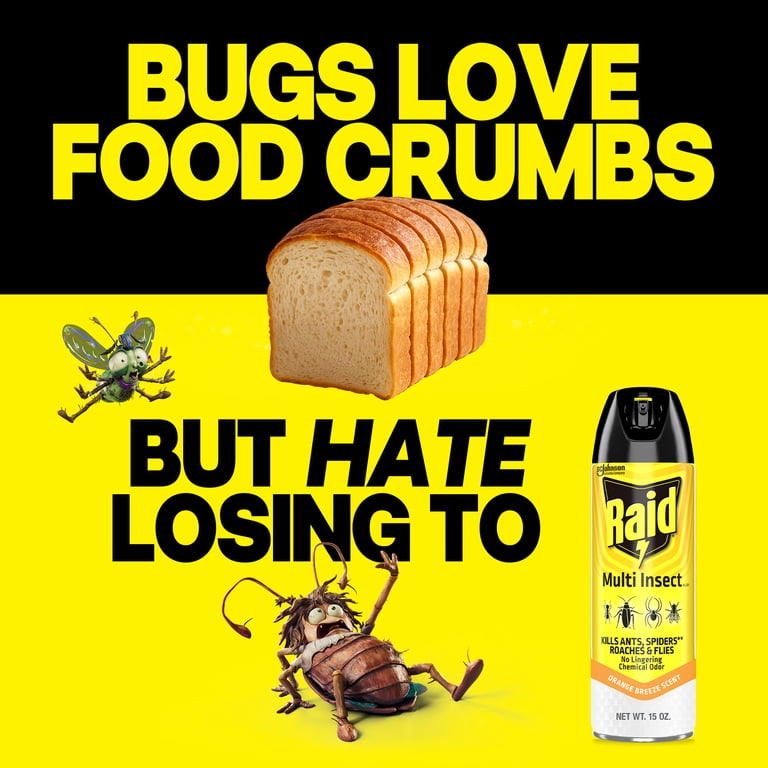 Raid Multi Insect Killer, Indoor & Outdoor, 15 oz photo 6