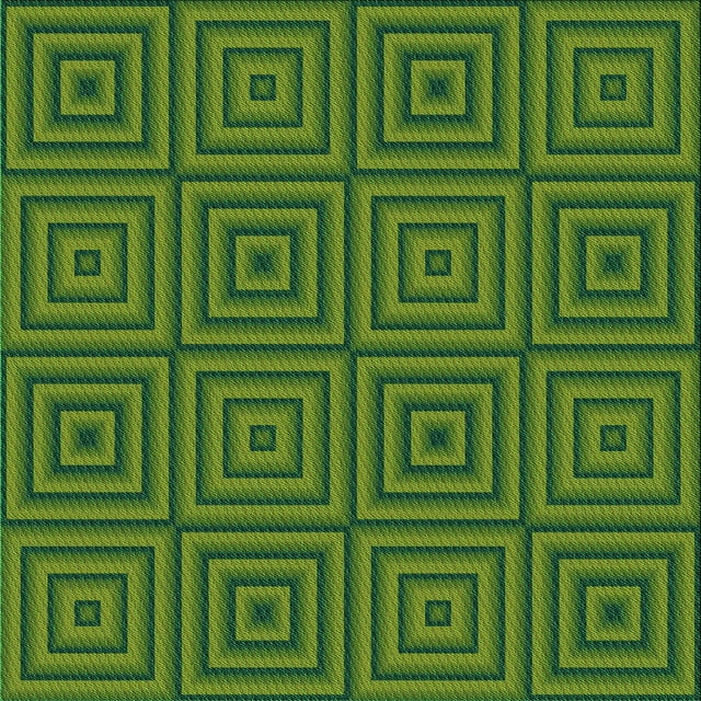 Ahgly Company Tapis d'Intérieur Lavable à la Machine, Carré, Transitionnel, Vert Pomme Vert, Tapis de Zone, 4 Pieds Carré