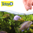 thumbnail image 2 of Jumbomin Tetra 210 g, 2 of 2