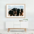 thumbnail image 6 of Icelandic Mane Entourage - Iceland Photography Horse Wildlife Nature Animal Rural Scenic Winter Unframed Wall Art Print 40 x 60 inches, 6 of 7