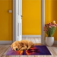 thumbnail image 4 of Latch Hook Rug Kit Hearts on Beach Sunset Pre-printed Handmade Carpet Crochet Yarn Craft DIY Hook and Latch Door Mat Tapestry for Home Floor Decoration 52x38cm-1, 4 of 8