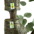 thumbnail image 6 of Nearly Natural Artificial Potted Eucalyptus Tree - 13' - Green, 6 of 7
