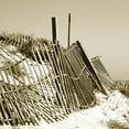 thumbnail image 2 of Bay, Noah 26x26 Black Ornate Wood Framed with Double Matting Museum Art Print Titled - Fences in the Sand I, 2 of 4