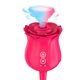 thumbnail image 1 of Mujeres Rosa Juguetes Lavable Impermeable Recargable Rosa Flor Juguete Para Mujeres Speravity XX000573-01, 1 of 6