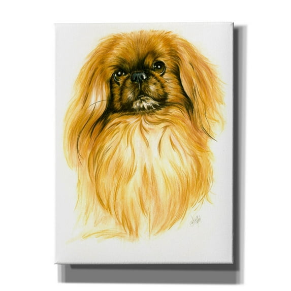 Epic Graffiti 'Peking-Ese' by Barbara Keith, Canvas Wall Art, 12"x16"